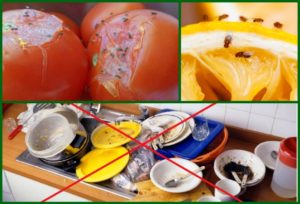 как избавиться от мелких мошек в квартире на кухне