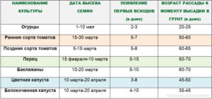 таблица со сроками посева семян на рассаду